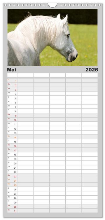 Produktbild: Familienplaner 2026 - Faszination und Vielfalt - Schwarzw&auml;lder Kaltblut mit 5 Spalten (Wandkalender, 21 x 45 cm) CALVENDO