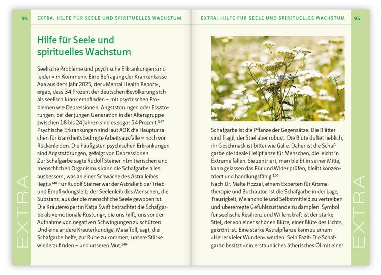 Produktbild: Die Schafgarbe &ndash; Allesk&ouml;nnerin unter den Heilpflanzen