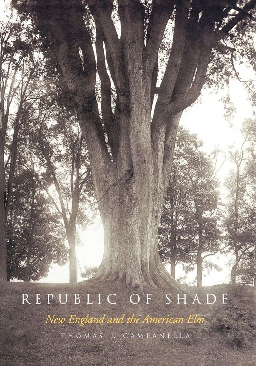 Produktbild: Republic of Shade