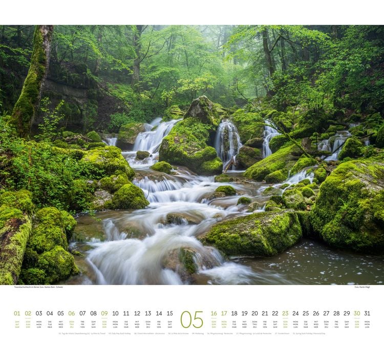 Produktbild: Wald Kalender 2027