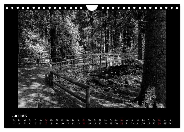 Produktbild: Harz-Bilder in monochrome (Wandkalender 2026 DIN A4 quer), CALVENDO Monatskalender