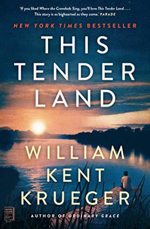 Produktbild: This Tender Land