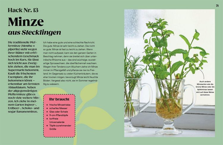 Produktbild: Regrow