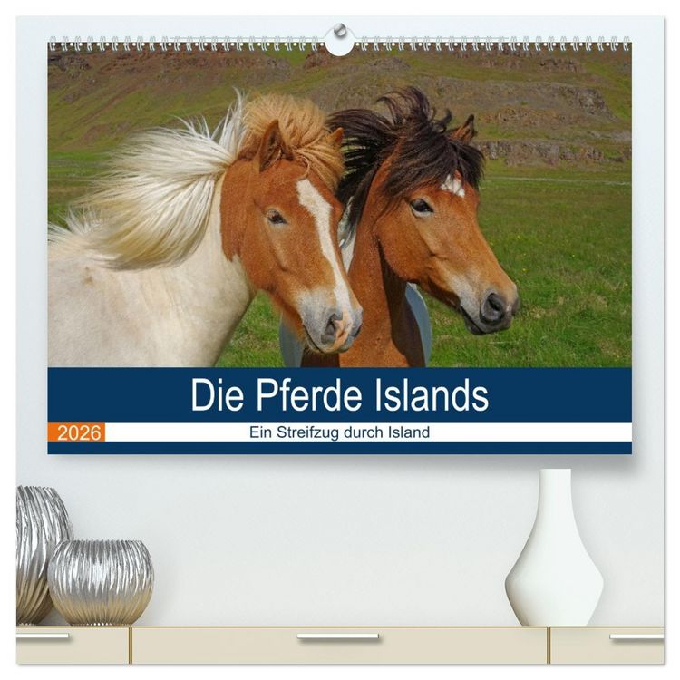 Produktbild: Die Pferde Islands - Ein Streifzug durch Island (hochwertiger Premium Wandkalender 2026 DIN A2 quer), Kunstdruck in Hochglanz