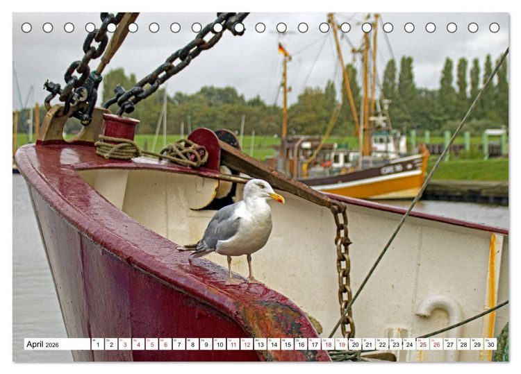 Produktbild: GREETSIEL - Schafe - Krabbenkutter - M&ouml;wen (Tischkalender 2026 DIN A5 quer), CALVENDO Monatskalender