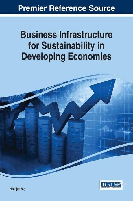 Produktbild: Business Infrastructure for Sustainability in Developing Economies