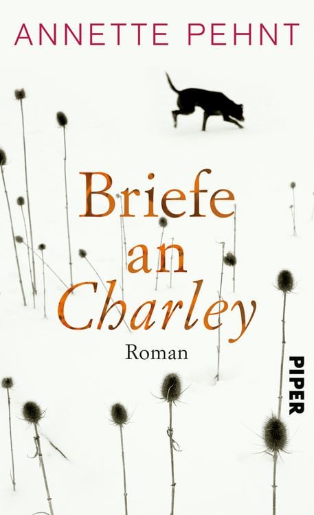 Produktbild: Briefe an Charley