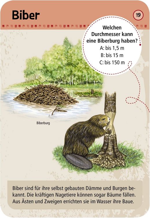 Produktbild: Expedition Natur - 50 Tierspuren