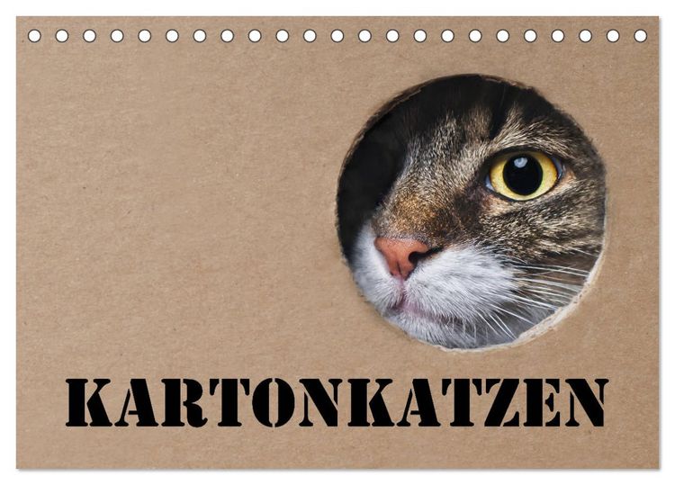 Produktbild: Karton Katzen (Tischkalender 2026 DIN A5 quer), CALVENDO Monatskalender