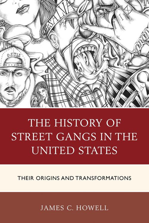 Produktbild: The History of Street Gangs in the United States