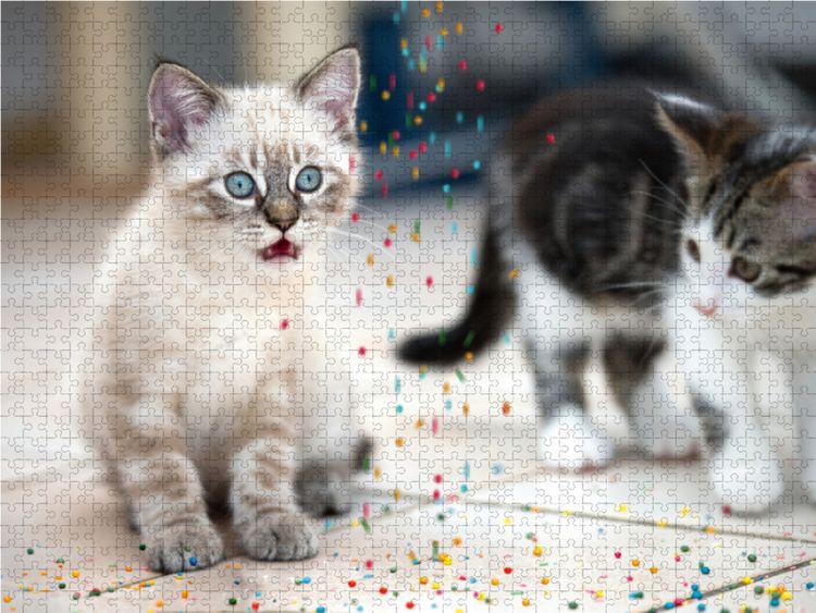 Produktbild: CALVENDO Puzzle Huuuch... 1000 Teile Lege-Gr&ouml;&szlig;e 64 x 48 cm Foto-Puzzle Bild von Christiane Calmbacher
