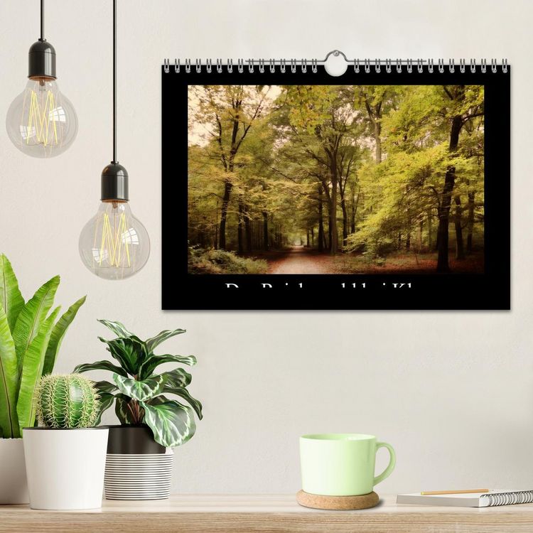 Produktbild: Der Reichswald bei Kleve (Wandkalender 2026 DIN A4 quer), CALVENDO Monatskalender