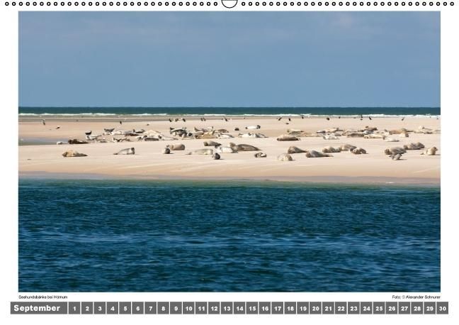 Produktbild: Nordsee - Impressionen einer Landschaft am Meer (Wandkalender immerw&auml;hrend DIN A2 quer)