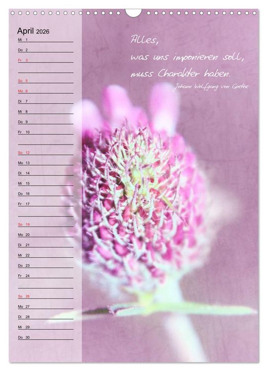 Produktbild: Blumen & Zitate / Geburtstagskalender (Wandkalender 2026 DIN A3 hoch), CALVENDO Monatskalender