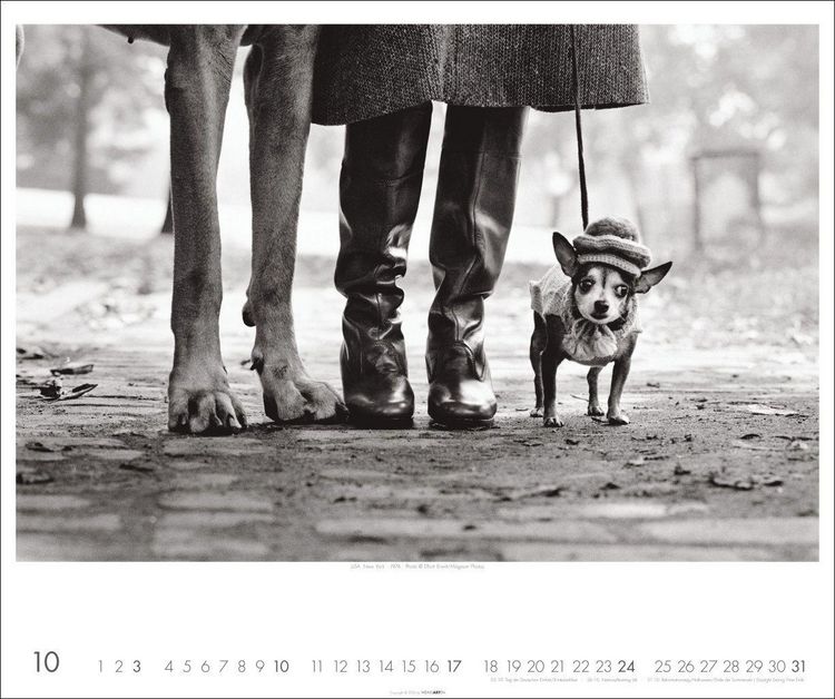 Produktbild: Magnum Photos - Elliott Erwitt Kalender 2027