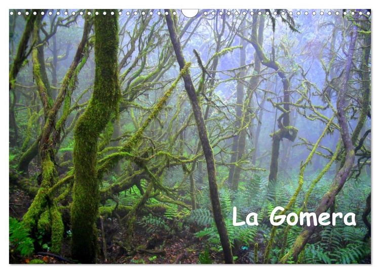 Produktbild: La Gomera (Wandkalender 2026 DIN A3 quer), CALVENDO Monatskalender