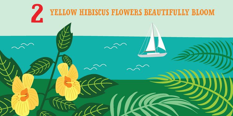 Produktbild: Let's Count Hawaii