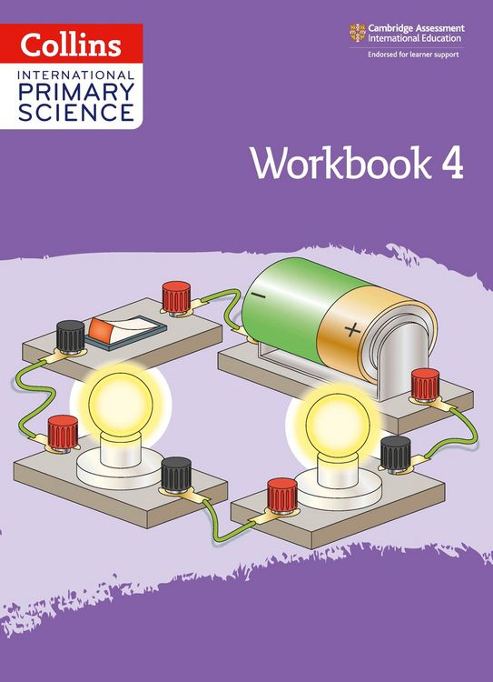 Produktbild: International Primary Science Workbook: Stage 4