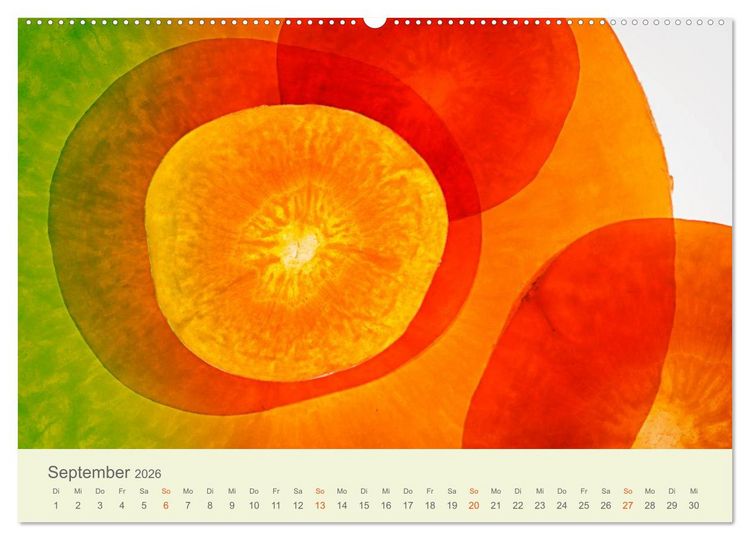 Produktbild: Lichtzauber (Wandkalender 2026 DIN A2 quer), CALVENDO Monatskalender
