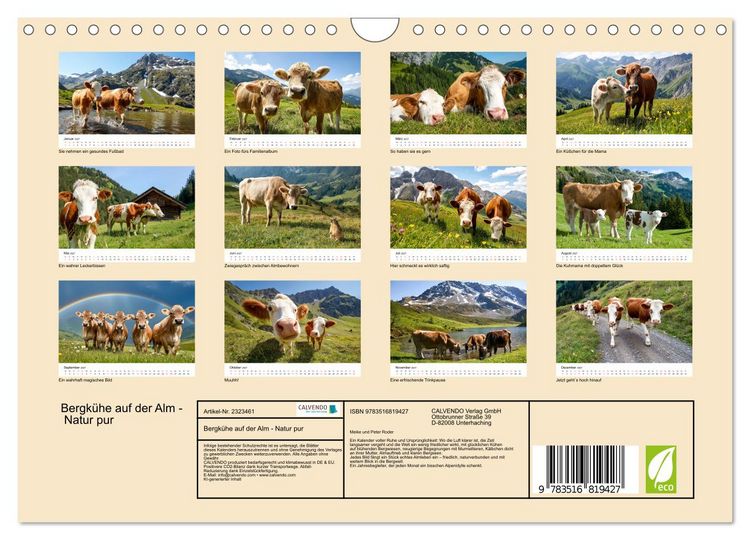 Produktbild: Bergk&uuml;he auf der Alm - Natur pur (Wandkalender 2027 DIN A4 quer), CALVENDO Monatskalender