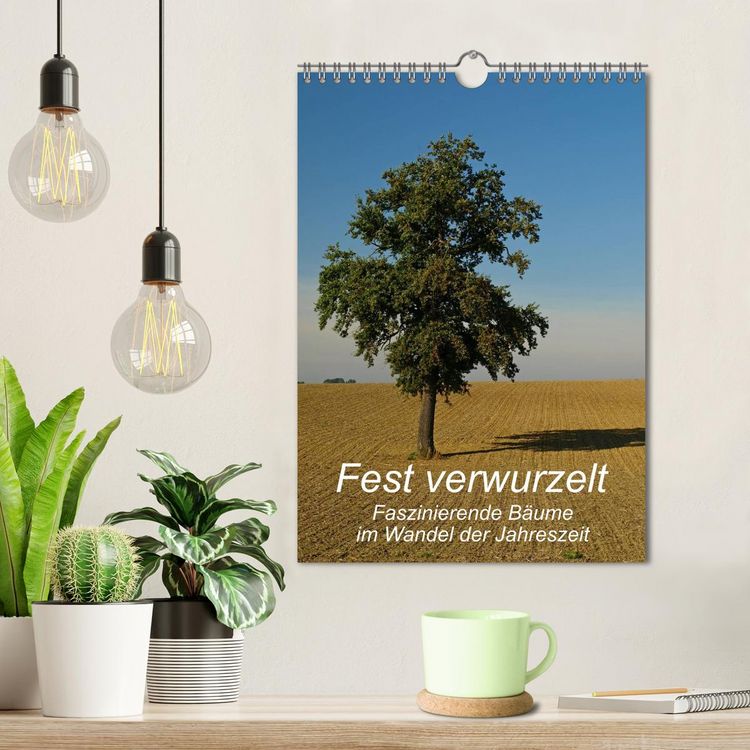 Produktbild: Fest verwurzelt - Faszinierende B&auml;ume im Wandel der Jahreszeit (Wandkalender 2026 DIN A4 hoch), CALVENDO Monatskalender