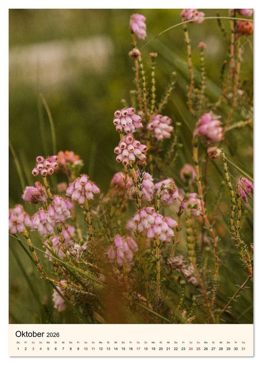 Produktbild: Wild und W&uuml;rzig - Kr&auml;utersch&auml;tze aus der Heide (Wandkalender 2026 DIN A4 hoch), CALVENDO Monatskalender