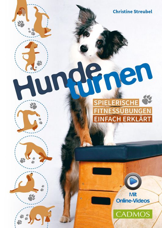 Produktbild: Hundeturnen