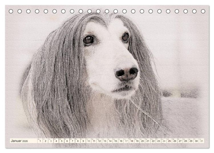Produktbild: Windhunde 2026 (Tischkalender 2026 DIN A5 quer), CALVENDO Monatskalender