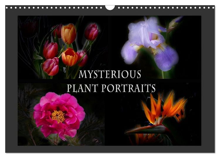 Produktbild: Mysterious plant portraits (Wall Calendar 2026 DIN A3 landscape), CALVENDO 12 Month Wall Calendar