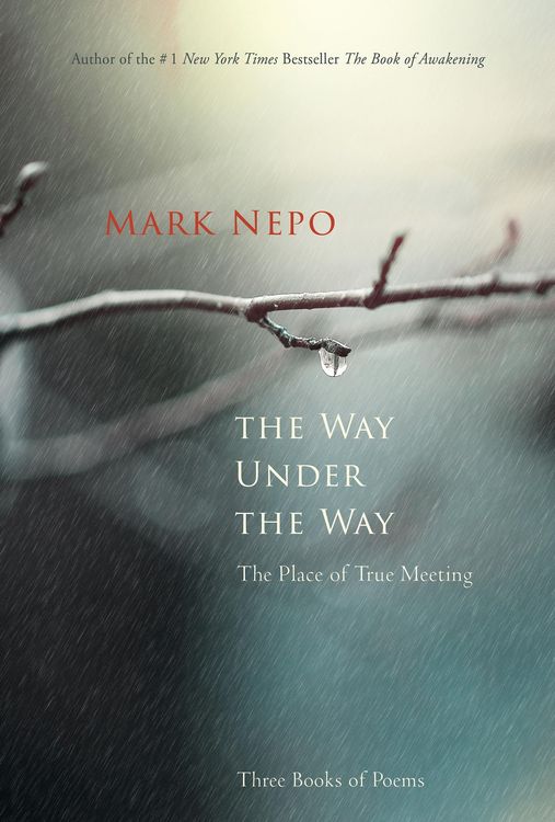 Produktbild: The Way Under the Way