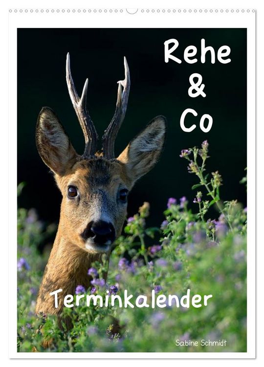 Produktbild: Rehe & Co / Planer (Wandkalender 2026 DIN A2 hoch), CALVENDO Monatskalender
