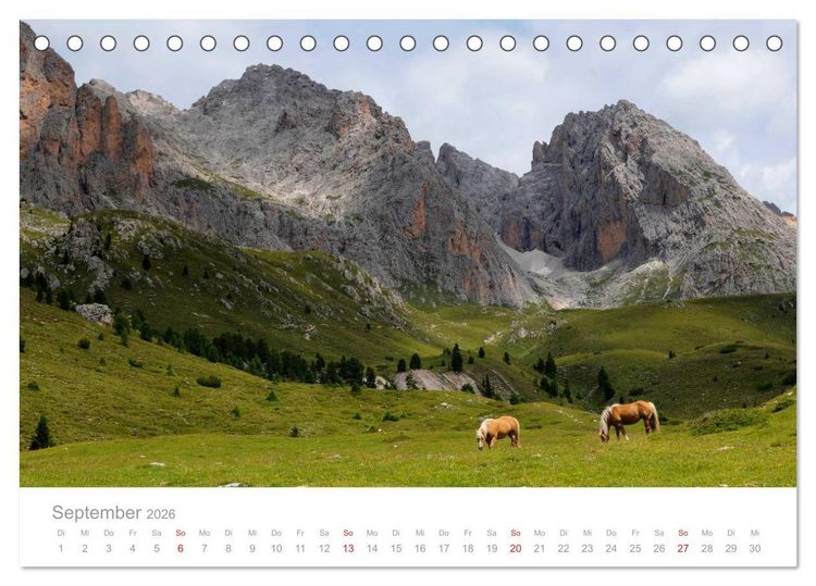 Produktbild: Pferde - In nat&uuml;rlicher Umgebung (Tischkalender 2026 DIN A5 quer), CALVENDO Monatskalender