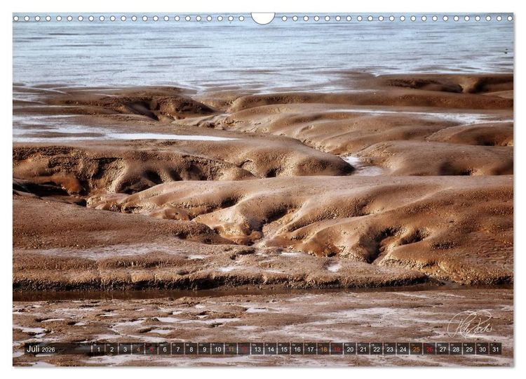Produktbild: Friesland - Watt und Nordsee / CH-Version (Wandkalender 2026 DIN A3 quer), CALVENDO Monatskalender