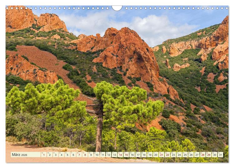 Produktbild: Mediterrane Flora - Pflanzen des S&uuml;dens (Wandkalender 2026 DIN A3 quer), CALVENDO Monatskalender
