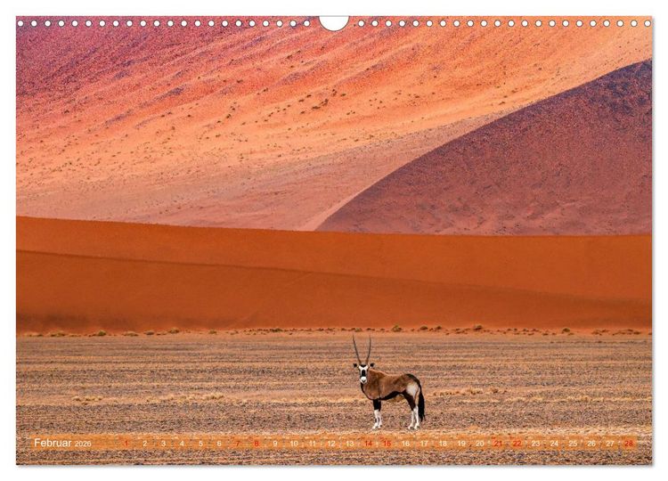 Produktbild: Namibias faszinierende Tierwelt (Wandkalender 2026 DIN A3 quer), CALVENDO Monatskalender