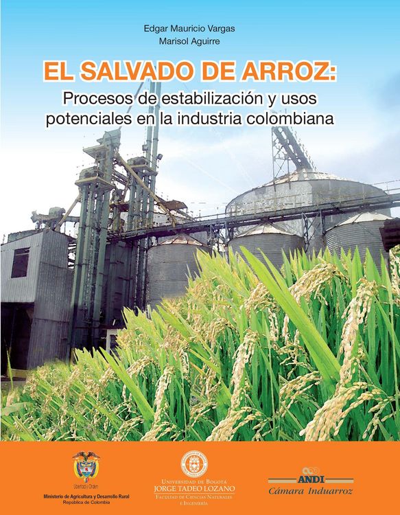 Produktbild: El salvado de arroz: procesos de estabilizaci&oacute;n y usos potenciales en la industria colombiana