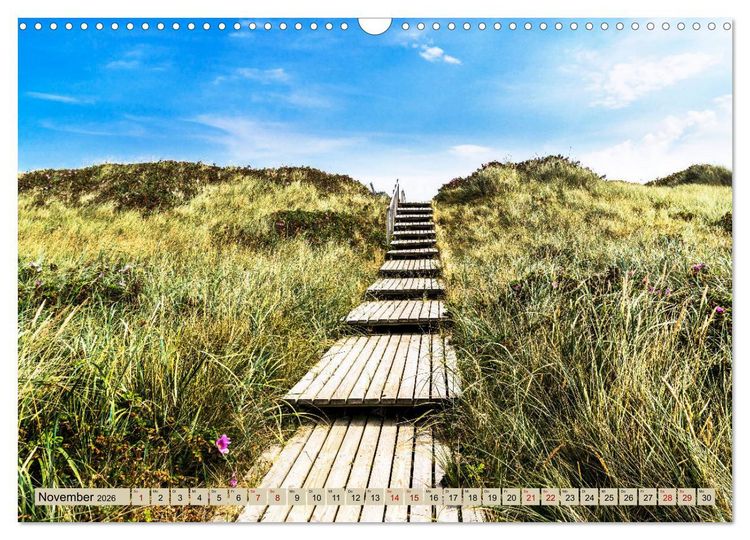 Produktbild: SYLT D&uuml;nenwege (Wandkalender 2026 DIN A3 quer), CALVENDO Monatskalender