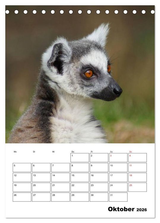 Produktbild: Katta Terminplaner (Tischkalender 2026 DIN A5 hoch), CALVENDO Monatskalender
