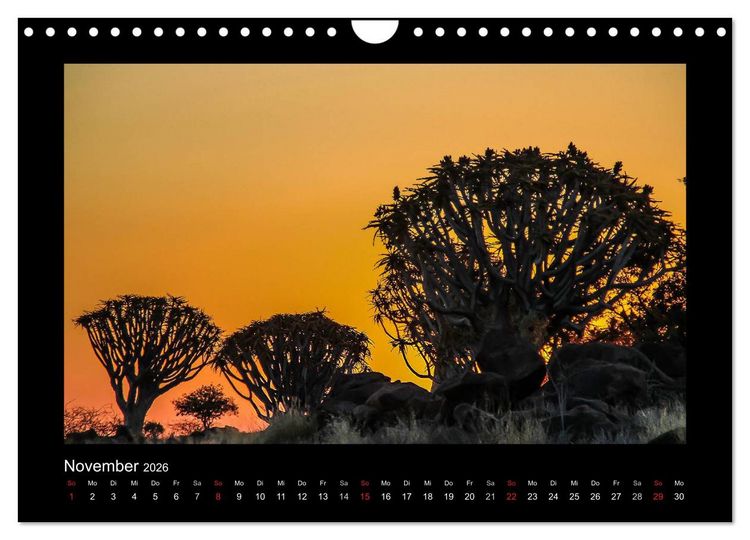 Produktbild: W&auml;lder, fotografiert auf vier Kontinenten (Wandkalender 2026 DIN A4 quer), CALVENDO Monatskalender