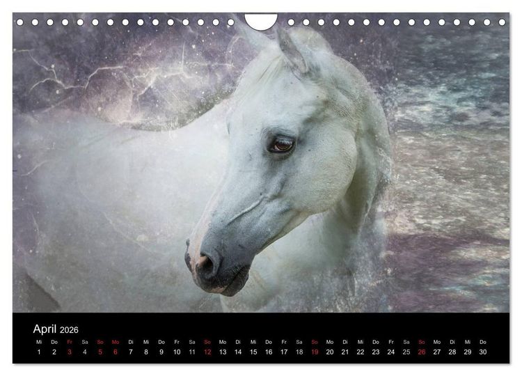 Produktbild: Pferde zum Tr&auml;umen (Wandkalender 2026 DIN A4 quer), CALVENDO Monatskalender