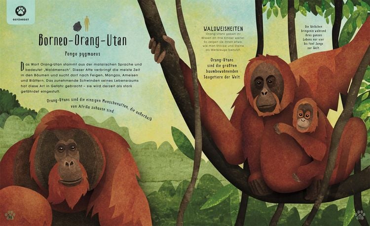 Produktbild: Tiere: 50 Geschichten &uuml;ber Mammut, Panda, Elefant und Co.