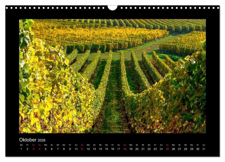 Produktbild: Wein - Reben, Wingerte und historische Weinkeller (Wandkalender 2026 DIN A3 quer), CALVENDO Monatskalender