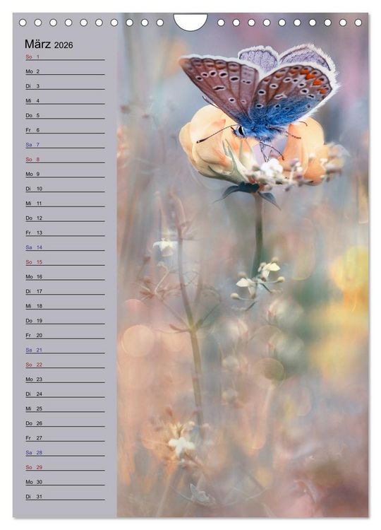 Produktbild: Pastell-Zauber (Wandkalender 2026 DIN A4 hoch), CALVENDO Monatskalender