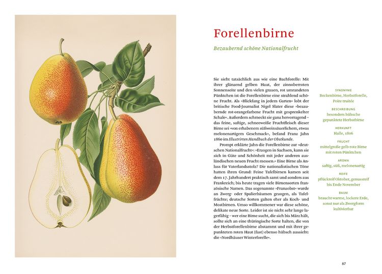 Produktbild: Die alten Obstsorten