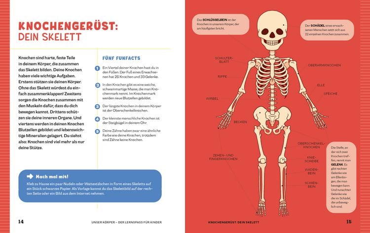 Produktbild: Unser K&ouml;rper