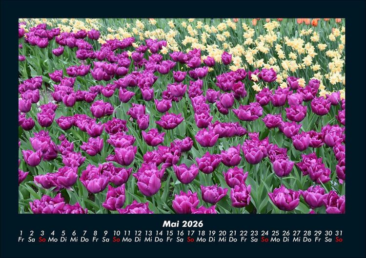 Produktbild: Blumenzauber 2026 Fotokalender DIN A4