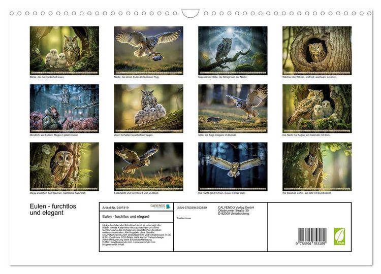 Produktbild: Eulen - furchtlos und elegant (Wandkalender 2027 DIN A3 quer), CALVENDO Monatskalender