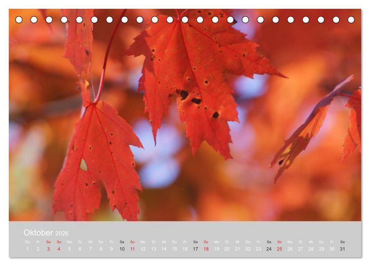 Produktbild: Indian Summer in New England (Tischkalender 2026 DIN A5 quer), CALVENDO Monatskalender