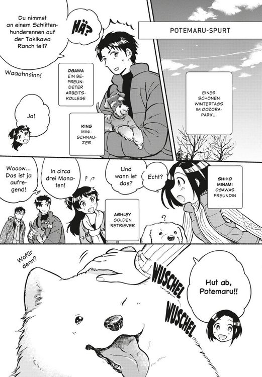 Produktbild: One Room Dog 4