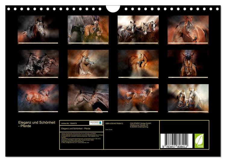 Produktbild: Eleganz und Sch&ouml;nheit - Pferde (Wandkalender 2026 DIN A4 quer), CALVENDO Monatskalender